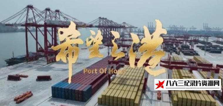 中国大陆纪录片《希望之港 Port of Hope 2024》高清下载-八六三纪录片资源网