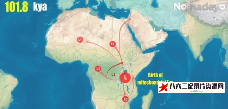 美国纪录片《从mtDNA看人类迁徙 mtDNA Shows How Humans Migrated across the World 2021》高清下载-八六三纪录片资源网