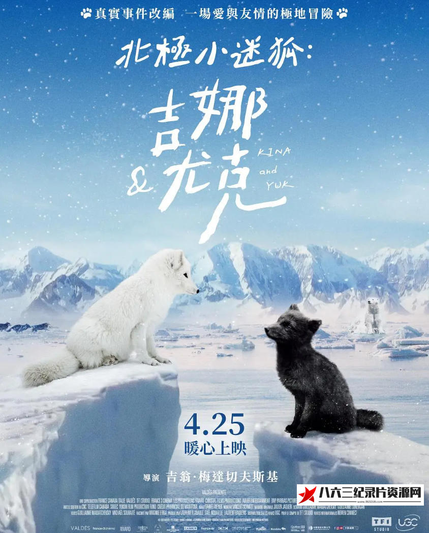 法国纪录片《北极小迷狐吉娜&尤克 Kina & Yuk : renards de la banquise 2023》高清下载-八六三纪录片资源网