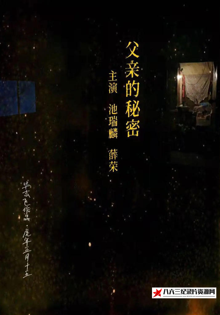 中国大陆纪录片《父亲的秘密 2025》高清下载-八六三纪录片资源网