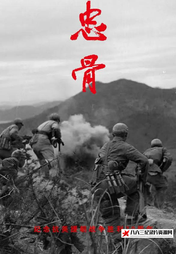 中国大陆纪录片《忠骨 2023》高清下载-八六三纪录片资源网