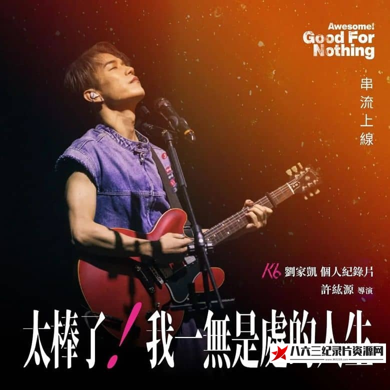 中国大陆纪录片《太棒了！我一无是处的人生 Awesome! My Good For Nothing Life》高清下载-八六三纪录片资源网