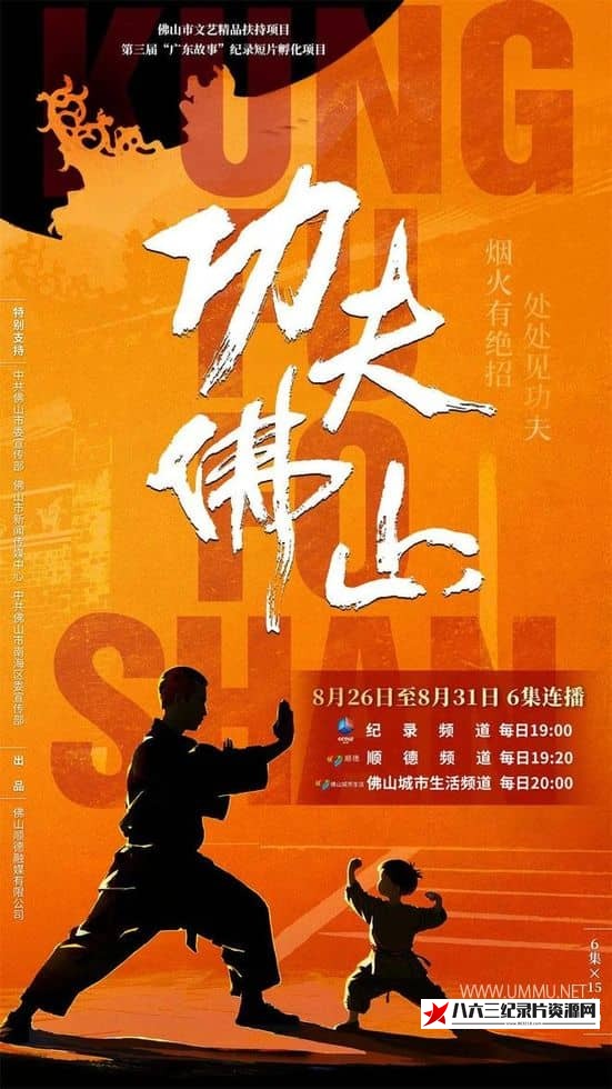 中国大陆纪录片《功夫佛山》高清下载-八六三纪录片资源网