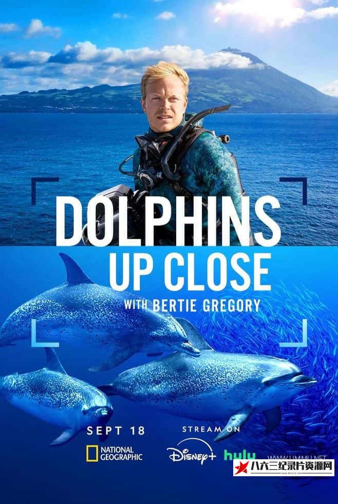 美国纪录片《摄影师贝尔蒂与海豚零距离 Dolphins Up Close with Bertie Gregory》高清下载-八六三纪录片资源网