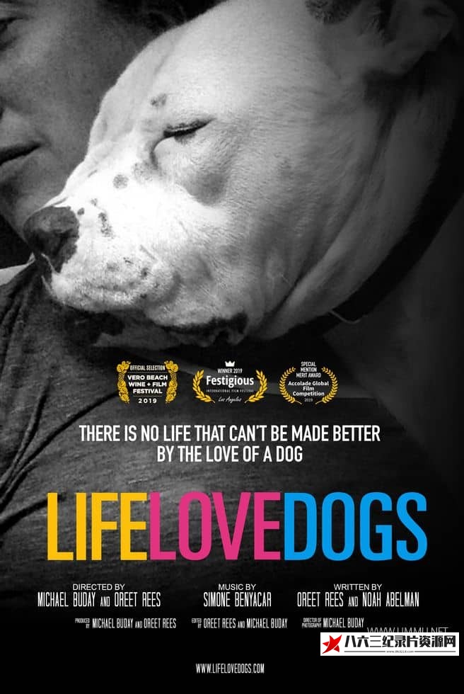 爱狗生活 Life Love Dogs的海报