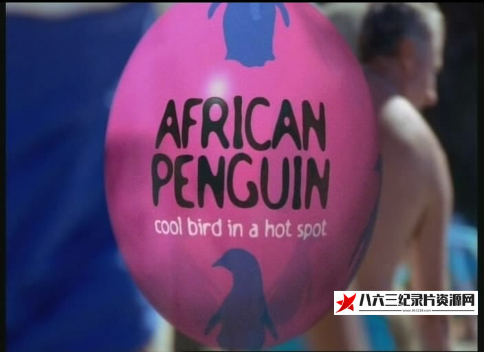 英国纪录片《非洲企鹅 African Penguin》高清下载-八六三纪录片资源网