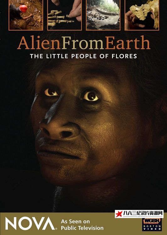 来自地球的外星人:弗洛勒斯岛的小矮人 Alien from Earth: The Little People of Flores的海报