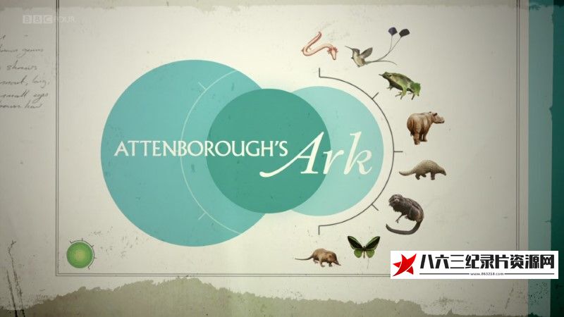 大卫·爱登堡的方舟 Attenborough's Ark (BBC)的海报