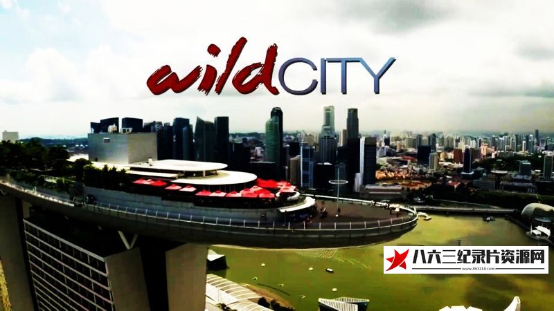 英国纪录片《大卫爱登堡的野性城市 David Attenborough's Wild City》高清下载-八六三纪录片资源网