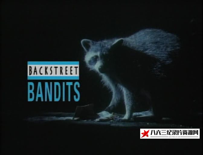 英国纪录片《后街土匪 Backstreet Bandits》高清下载-八六三纪录片资源网
