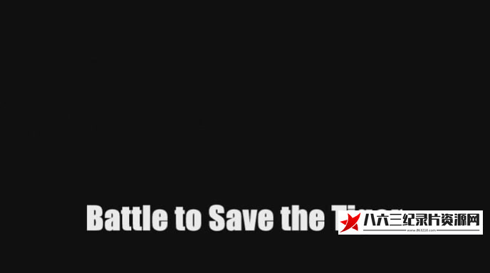 拯救老虎之战 Battle to Save the Tiger的海报