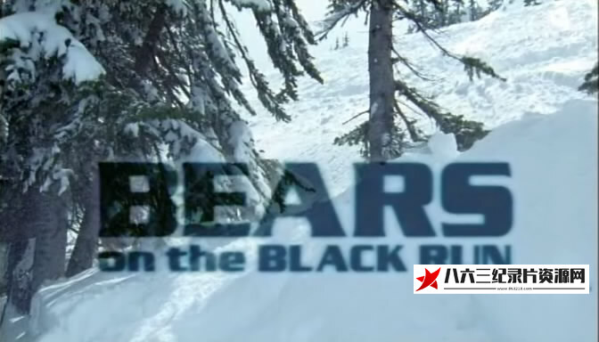 滑雪胜地的熊 Bears on the Black Run的海报