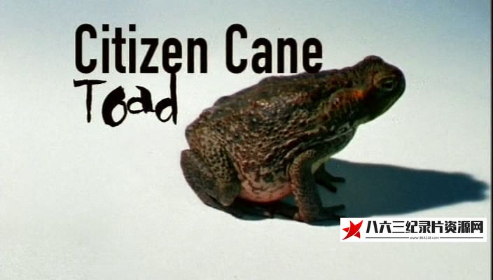 英国纪录片《泛滥澳洲的蔗蟾蜍 Citizen Cane Toad》高清下载-八六三纪录片资源网