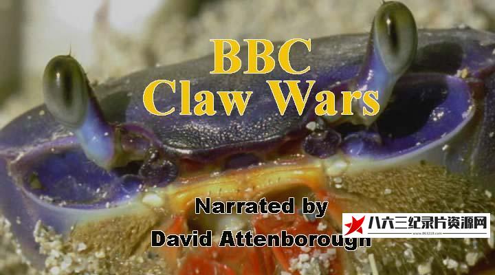 英国纪录片《螃蟹：爪战 Crabs: Claw Wars》高清下载-八六三纪录片资源网