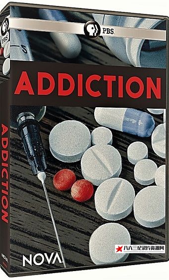 成瘾 Addiction的海报