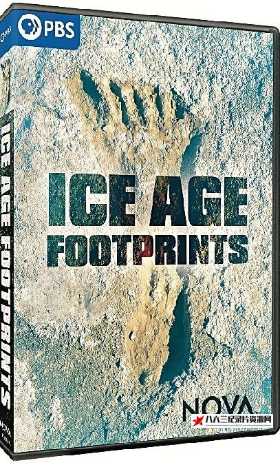 美国纪录片《冰河时代的足迹 NOVA: Ice Age Footprints》高清下载-八六三纪录片资源网