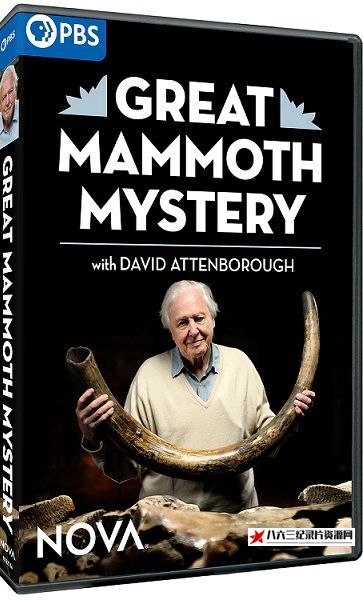 美国纪录片《猛犸象之谜 Nova: Series 49 Part 3 Great Mammoth Mystery》高清下载-八六三纪录片资源网