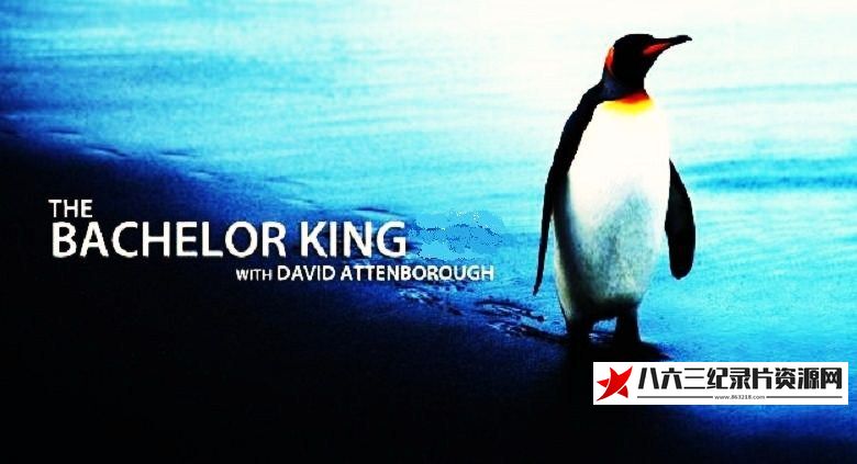 英国纪录片《单身国王 The Bachelor King》高清下载-八六三纪录片资源网