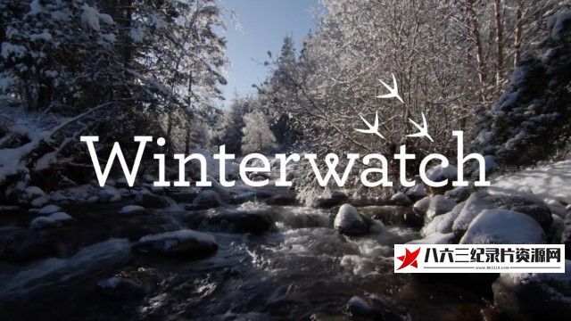 英国纪录片《冬季观察 第十一季 Winterwatch 2023》高清下载-八六三纪录片资源网