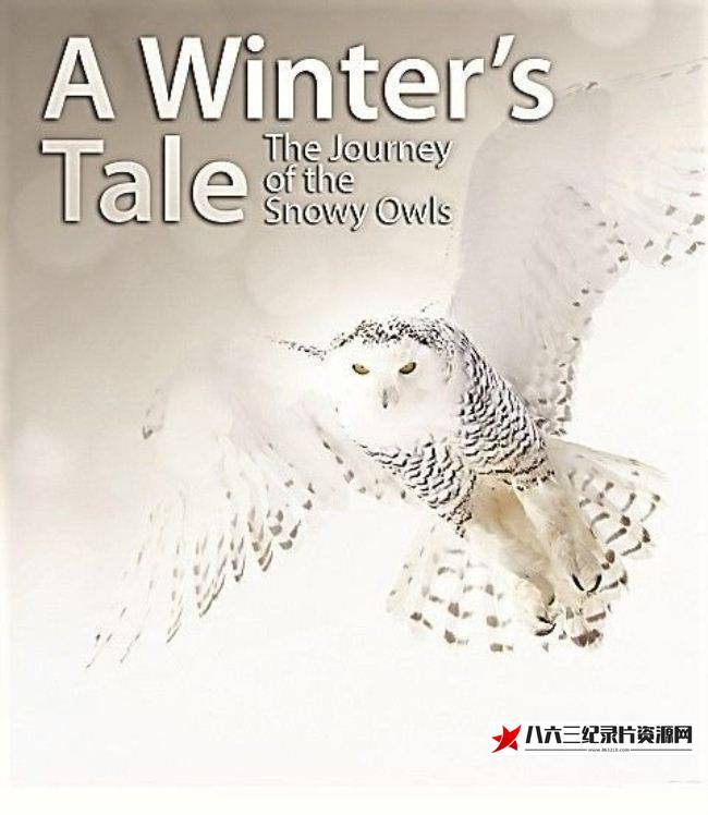 中国大陆纪录片《冬日传说—雪鸮的旅程 A Winter's Tale The Journey Of The Snowy Owls》高清下载-八六三纪录片资源网