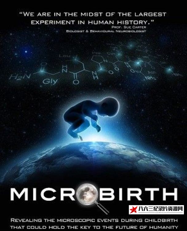 美国纪录片《微分娩 Microbirth》高清下载-八六三纪录片资源网