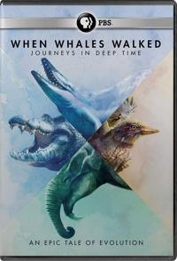 美国纪录片《鲸鱼行走的时代：深时之旅 When Whales Walked: Journeys in Deep Time》高清下载-八六三纪录片资源网