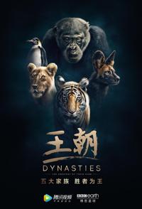 英国纪录片《王朝 Dynasties》高清下载-八六三纪录片资源网