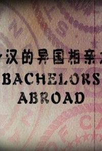 美国纪录片《单身汉的异国相亲之旅 Bachelors Abroad》高清下载-八六三纪录片资源网