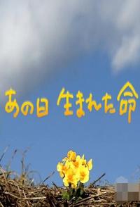 日本纪录片《生于3·11 东日本大地震三周年 生于3·11 东日本大地震三周年》高清下载-八六三纪录片资源网