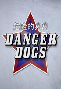美国纪录片《危险的狗狗 Danger Dogs》高清下载-八六三纪录片资源网