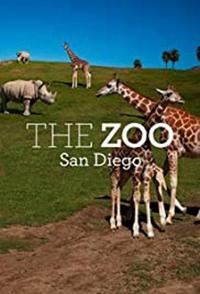 美国纪录片《圣地亚哥动物园 第一季 The Zoo：San Diego》高清下载-八六三纪录片资源网