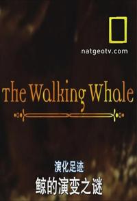 美国纪录片《演化足迹 National Geographic Evolutions》高清下载-八六三纪录片资源网