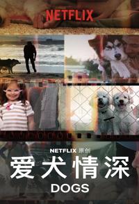 美国纪录片《爱犬情深 全2季 Dogs》高清下载-八六三纪录片资源网