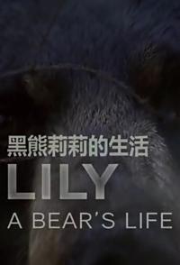 英国纪录片《莉莉 一头熊的生活 Lily, A Bear's Lif》高清下载-八六三纪录片资源网