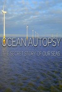 英国纪录片《解剖海洋：我们海洋的秘密 Ocean Autopsy: The Secret Story of Our Seas》高清下载-八六三纪录片资源网