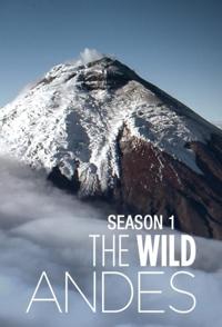 美国纪录片《安第斯山脉  The Wild Andes》高清下载-八六三纪录片资源网