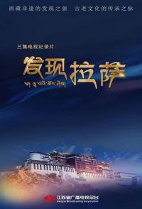 中国大陆纪录片《发现拉萨 发现拉萨》高清下载-八六三纪录片资源网