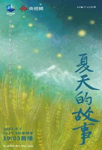 中国大陆纪录片《夏天的故事 夏天的故事》高清下载-八六三纪录片资源网