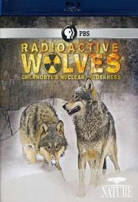 美国纪录片《受辐射的狼群 Radioactive Wolves》高清下载-八六三纪录片资源网