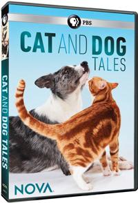 美国纪录片《狗的故事  dog tales》高清下载-八六三纪录片资源网