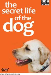 英国纪录片《狗狗秘闻 The Secret Life of the Dog》高清下载-八六三纪录片资源网