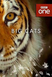 英国纪录片《大猫 全三集 Big Cats》高清下载-八六三纪录片资源网