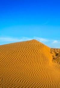 美国纪录片《印度塔尔大沙漠 THAR:India’s Great Desert》高清下载-八六三纪录片资源网