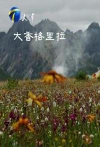 中国大陆纪录片《大香格里拉 大香格里拉》高清下载-八六三纪录片资源网