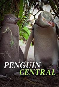 美国纪录片《探秘企鹅王国 Penguin Central》高清下载-八六三纪录片资源网