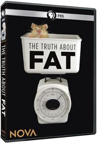 美国纪录片《脂肪的真相 The Truth About Fat》高清下载-八六三纪录片资源网