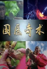 中国大陆纪录片《国医奇术 国医奇术》高清下载-八六三纪录片资源网