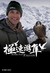 英国纪录片《极速游隼 Super Fast Falcon》高清下载-八六三纪录片资源网