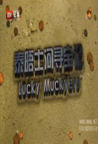 美国纪录片《泰晤士河寻宝记 Lucky Muckers》高清下载-八六三纪录片资源网