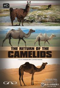 法国纪录片《骆驼一族的回归 The Return Of The Camelids》高清下载-八六三纪录片资源网